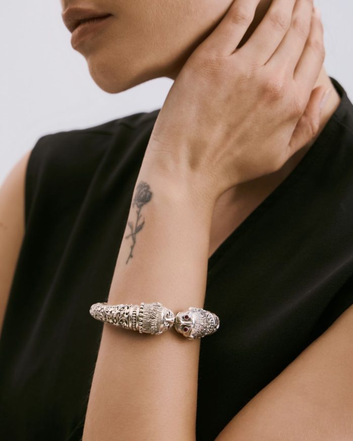 Gemini Leonis - immagine 3